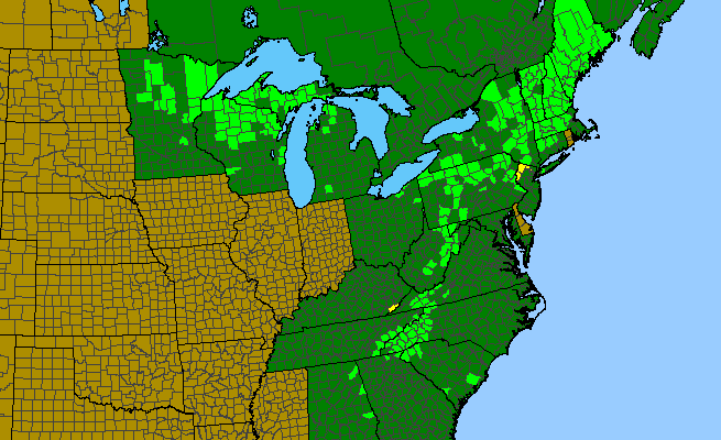 The range of Rubus canadensis